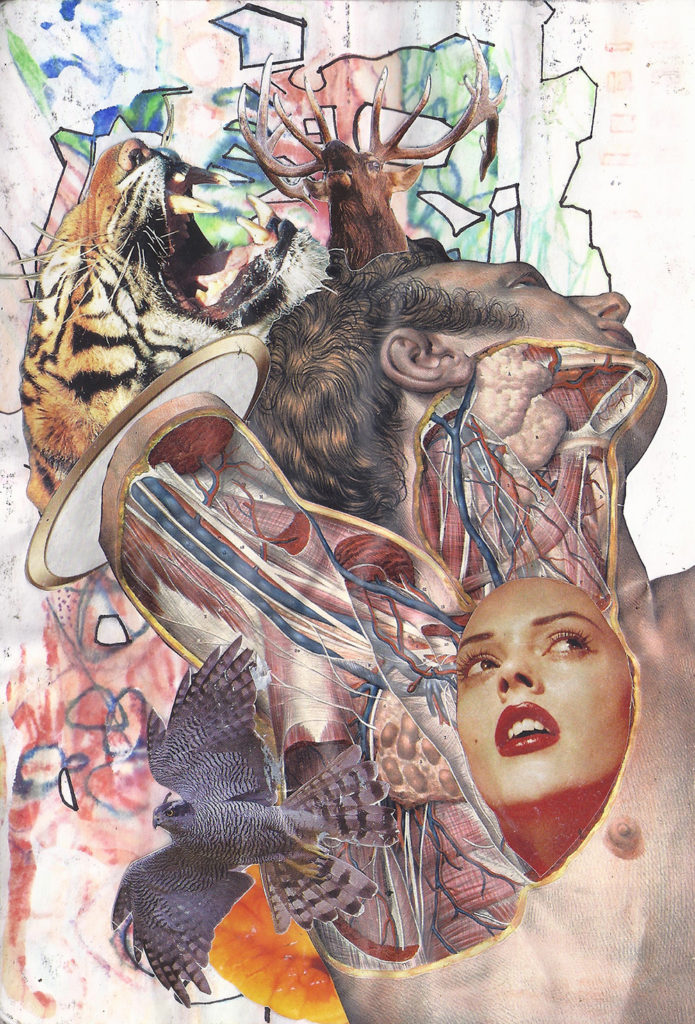 a collage image by Mauricio Otarola